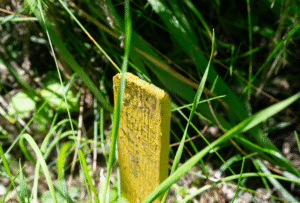 Procederen over verjaring bij de kantonrechter